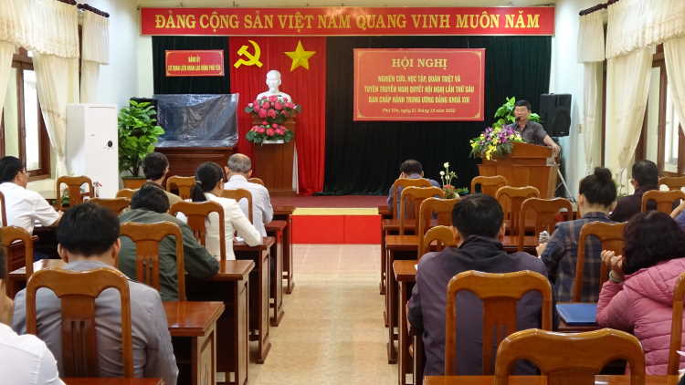 category photo